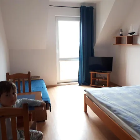 Magnolia Wrzosowo (Kamien)