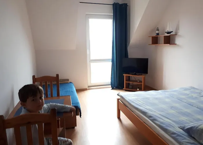 Magnolia Wrzosowo (Kamien)