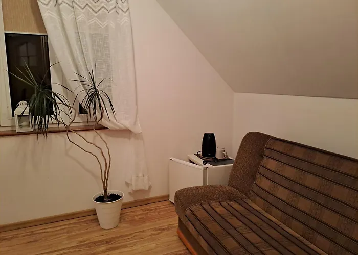 Magnolia * Wrzosowo (Kamien)